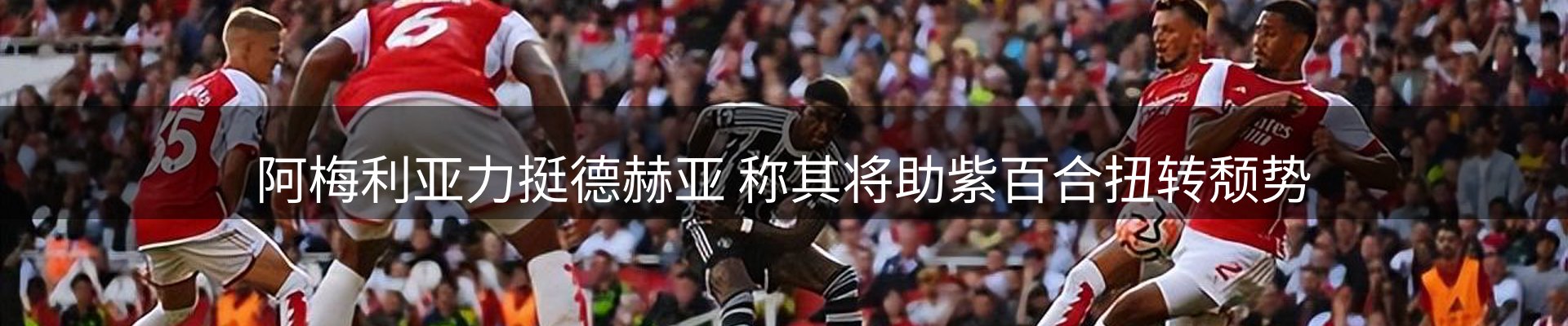 焦点评析